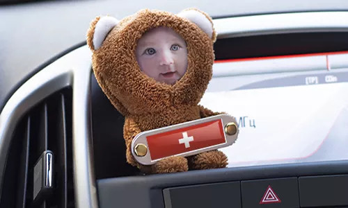 Cuddly toy with photo and flag