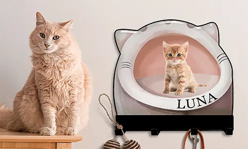 gallery-keyholder-wall-cat-dog-house-design-2