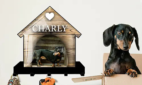 gallery-keyholder-wall-cat-dog-house-design-3