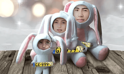 Car Photo Stuff Toy Bunny
