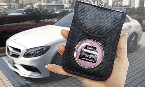 schutz etui für autoschlüssel mit Rosa Schlangenleder