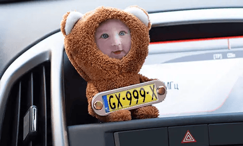 Cuddly toy with photo and flag