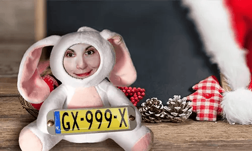 Cuddly toy with photo with license plate as a gift