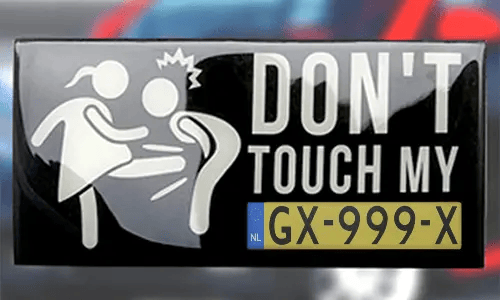 license plate sticker 